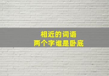 相近的词语 两个字谁是卧底